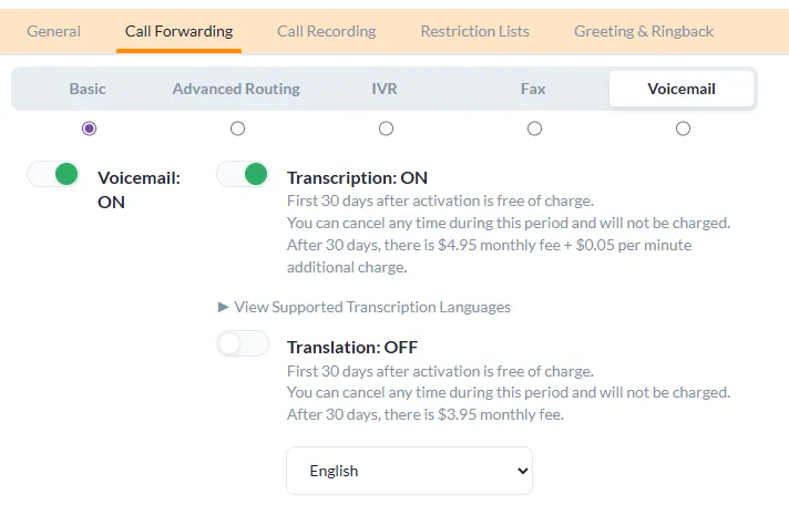 voicemail translation options